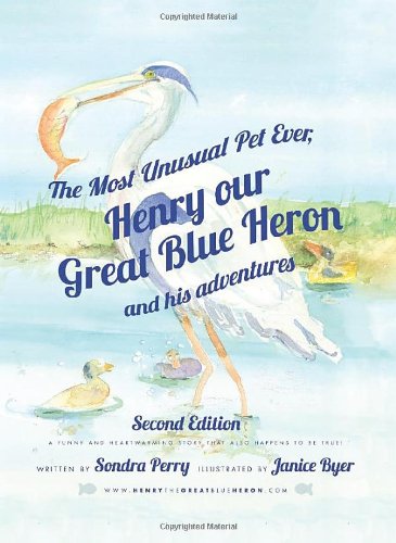 The Most Unusual Pet Ever, Henry our Great Blue Heron and his adventures 2nd Edition