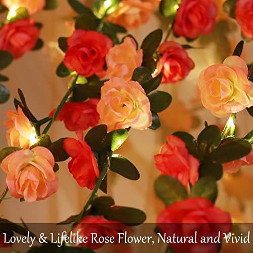 Fielegen 5 Meter 60 LED Flower Rose Vine String Lights, 2 Pack Battery Powered Artificial Rose Flower Garland Fairy Lights for Valentine Day Wedding Birthday Party Home Garden Indoor Bedroom Decor