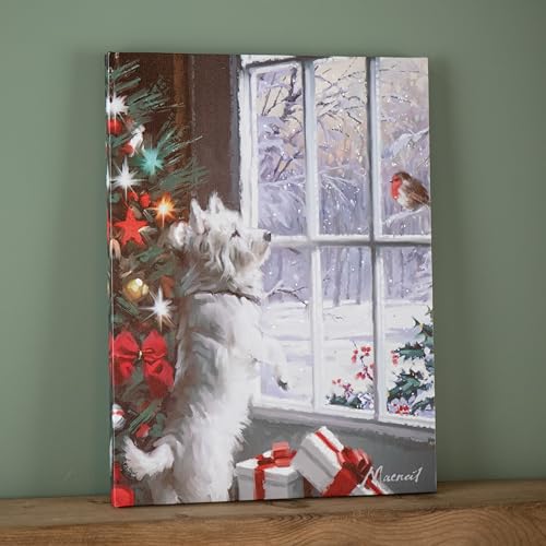 Samuel ALEXANDER 40cm x 30cm Battery Operated Light up Fibre Optic Christmas Dog & Robin Wall Art