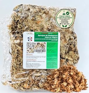 MGI Développement sphaigne de Madagascar 150 g pour terrarium