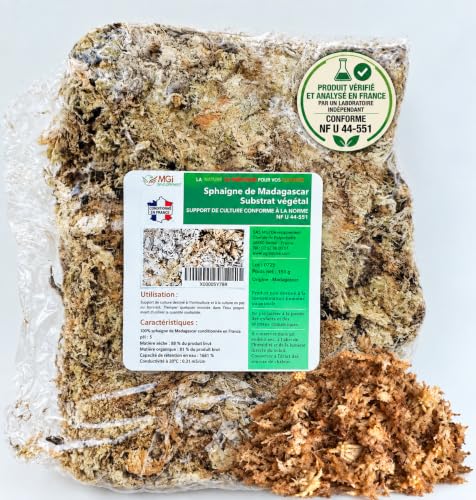 MGI Développement sphaigne de Madagascar 150 g pour terrarium