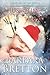 Just In Time (A Rocky Hill Holiday Novella) (A Rocky Hill Romance Book 3)