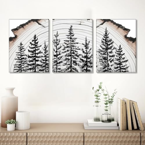 TANXM Tree Ring Pine Tree Forest Wall Art Set of 3,Framed 12x16 Inch - image 3