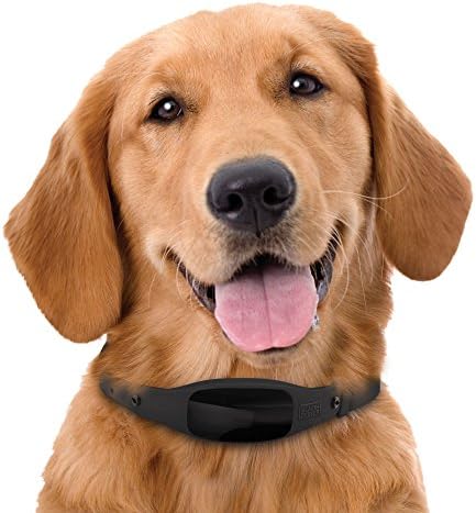black and decker smart collar