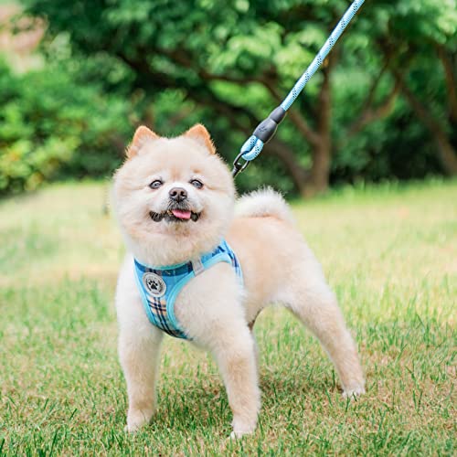 Beautyzoo Small Dog Harness And Leash Set,Step In No Chock No Pull Soft Mesh Dog Harnesses Reflective For Extra-Small/Small Medium Puppy Dogs And Cats, Plaid Dog Vest Harness For Xs S Pets, Blue Xxs #TOP7