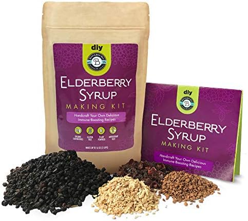 Elderberry Syrup Kit Organic - Make 12-24oz | with Dried Elderberries (Sambucus), Cinnamon, Rosehips, & Ginger - for Adults + Kids - by Birds & Bees Teas