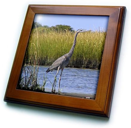 3dRose Blue Heron 8x8 Framed Tile