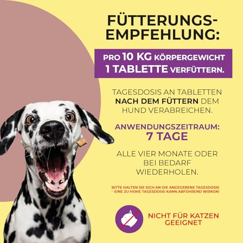 Hello Animal® Relax - Beruhigungsmittel Alternative für Hunde - 10 Tabletten mit natürlichen Inhaltsstoffen - zur Unterstützung der Entspannung und Stressbewältigung - Ideal für nervöse Hunde