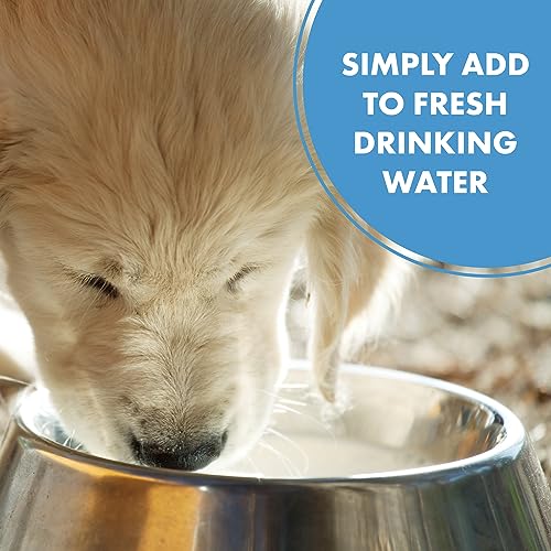 Petsilver Teeth & Gum Water Additive For Dogs & Cats, Eliminate Bad Breath, Natural Pet Dental Care Solution, Targets Tartar & Plaque, No Brushing, Chelated Silver, New Stronger Formula, 12 Fl Oz #TOP2