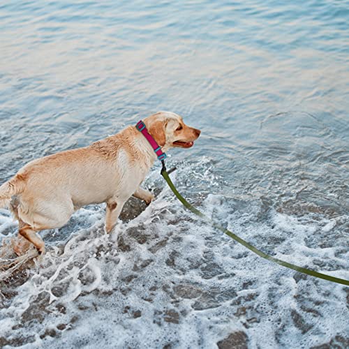 Wolfone 6m Guinzaglio per Cani da Richiamo Lungo