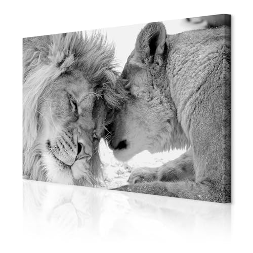 decomonkey Bilder Wandbilder Löwe Afrika Löwenpaar 120x80 cm 1 Teilig...