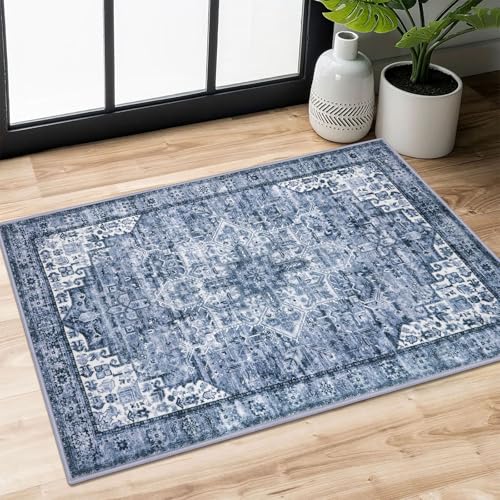SIILOOM 2x3 Small Washable Area Rug Entryway Door Mat Indoor Kitchen Runner