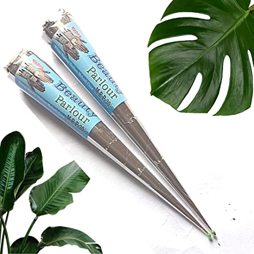 Image of Mahek Beauty Parlour Bridal Special Dulhan Mehndi Cone (Pack Of 12 Piece)
