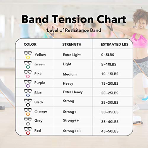 Ritfit Single Resistance Exercise Band With Comfortable Handles - Ideal For Physical Therapy, Strength Training, Muscle Toning - Foam Padding Door Anchor And Starter Guide Included (Green(5-10Lbs)) #TOP4