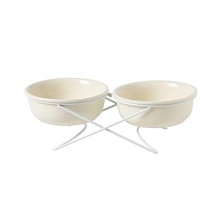 Havniva Ceramic Raised Pet Bowl Elevated Dog Bowl Cat Bowl with Stand Food and Water Dish