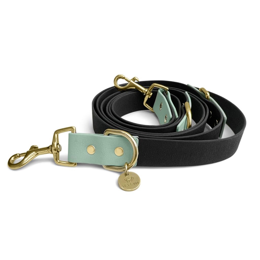 Correa para perros al aire libre, 2 mosquetones y 3 posiciones ajustables, correa para perros, correa de entrenamiento, correa de entrenamiento (negro/menta, M-L (230 cm de largo, 2,5 cm de