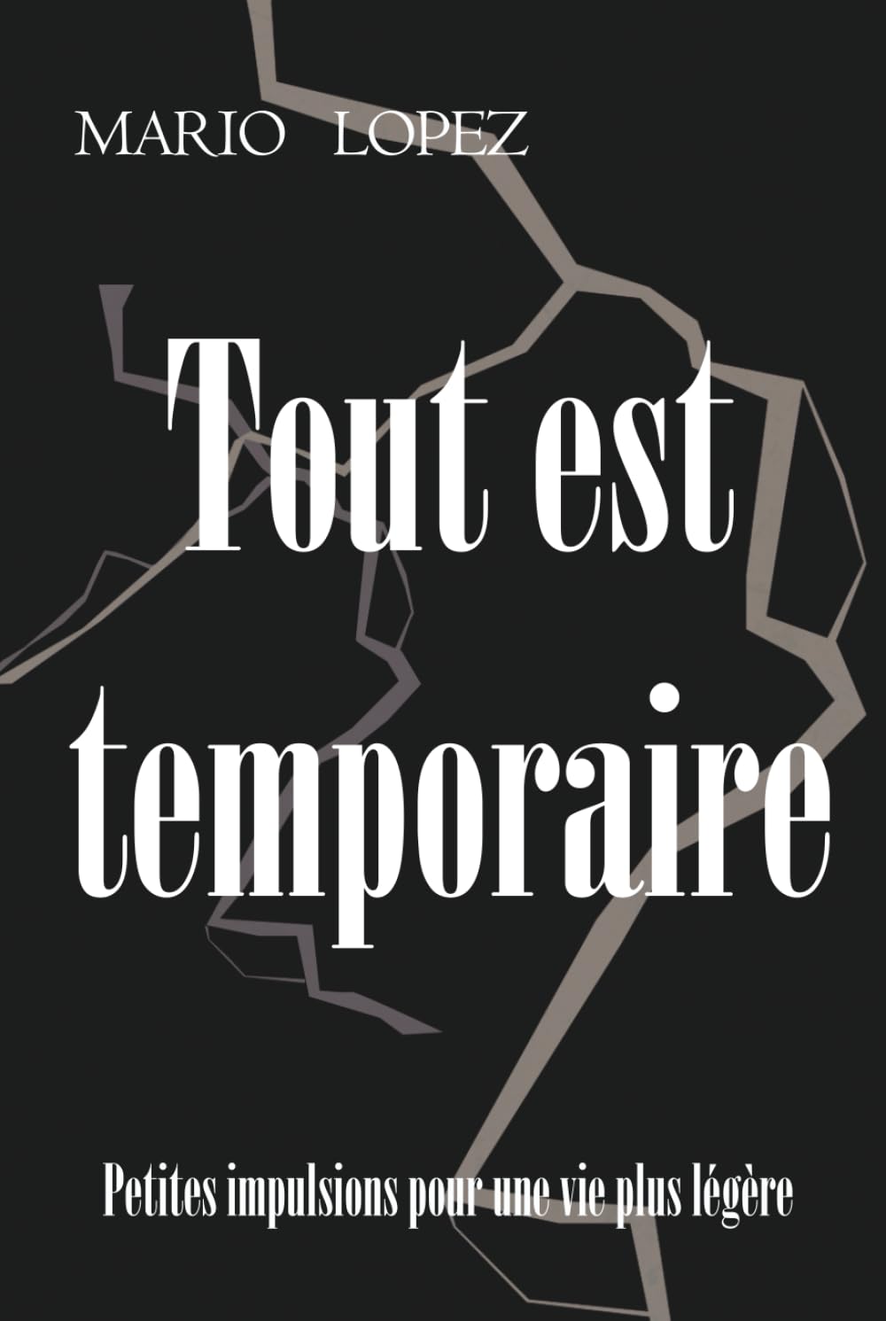 Tout est temporaire: Petites impulsions pour une vie plus légère.