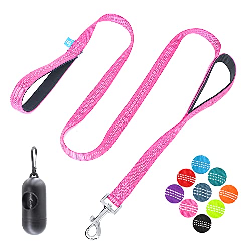 BAAPET Two Handle Dog Leash, Dual Soft Padded Handles with Traffic