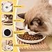 Faloyy 3PCS Ceramic Cat Bowls 2 Styles 250ml Food Bowl Non-Slip Feeding Bowls Wide Shallow Kitten Whisker Friendly 5.9x1.1
