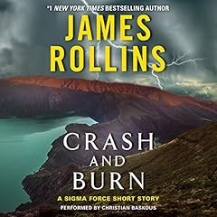 Crash and Burn Audiolibro Por James Rollins arte de portada
