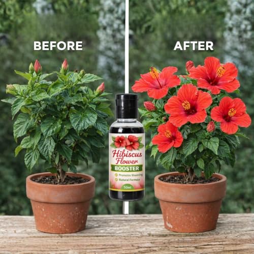 Image of Hibiscus Flower Bloom Booster Liquid | Organic Hibiscus Flowers Growth Booster Promotes More Buds, Bigger & Vibrant Flowers | Enhances Continuous Blooming & Plant Health Pack Of 1 (50ml)