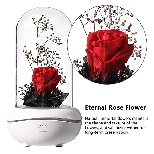 Difusor aromático eléctrico Eternal Rose con luz nocturna USB miniatura 4