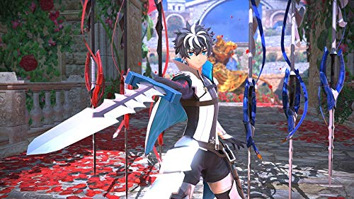 プレミアム限定版 Fate/EXTELLA LINK for PlayStation (R) Vita Amazon.co.jp: プレミアム限定版 Fate/EXTELLA LINK for