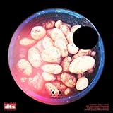  The Ambient Gardener-Autumn