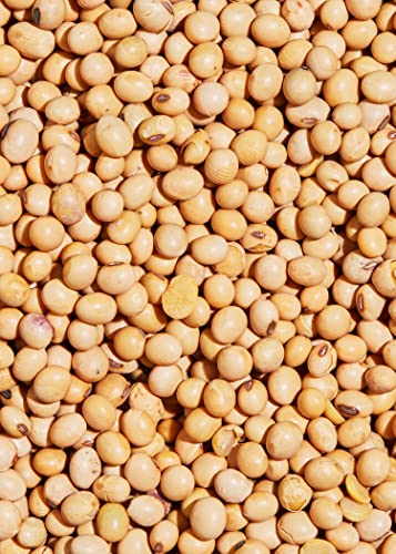 KoRo - Biologische sojabonen 2 kg - Image 6