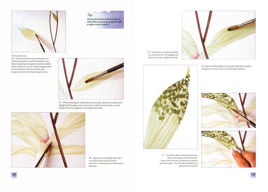 Blumenporträts realistisch malen: Techniken und Übungen in Aquarell