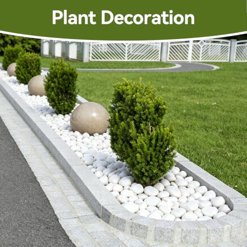 Image of Pulovin 40 lbs White Rocks for Landscaping, 3-4 Inch White River Rocks | Large White Rocks for Plants, Decorative Polished Stones for Garden, Walkways, Yard, Plants Pots, Vases, Crafts