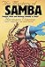 The Mystery of Samba: Popular Music and National Identity in Brazil (Latin America in Translation/en Traducción/em Tradução)