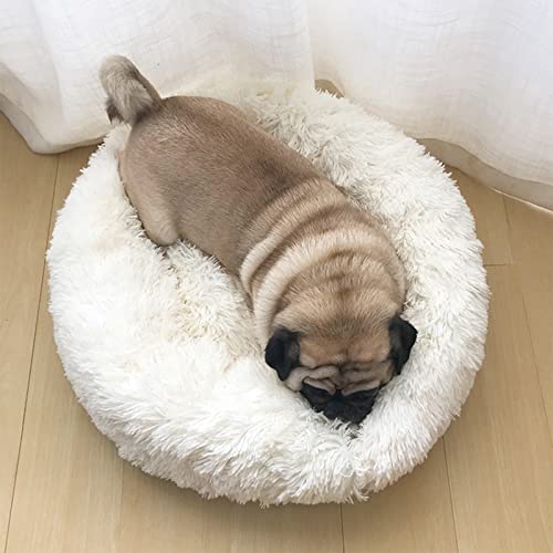 Katzenbett Hundebett Flauschig Waschbar rund Katzenkissen Hundekissen Plüsch Haustierbett Donut Hundekorb Katzenkorb für Katzen und kleine mittelgroßen Hunde (70CM, Weiß)