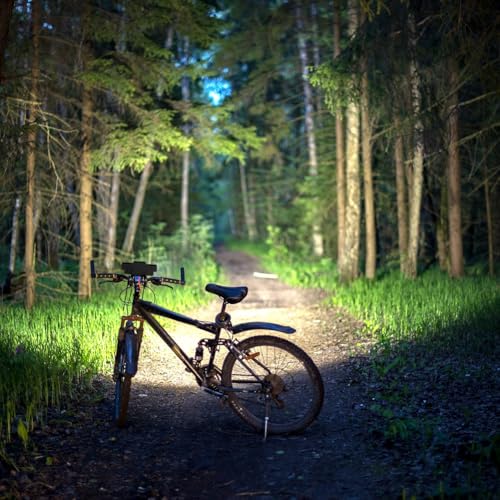 Accessoires de vélo avec éclairage arrière LED rechargeable et buse gaz - 2