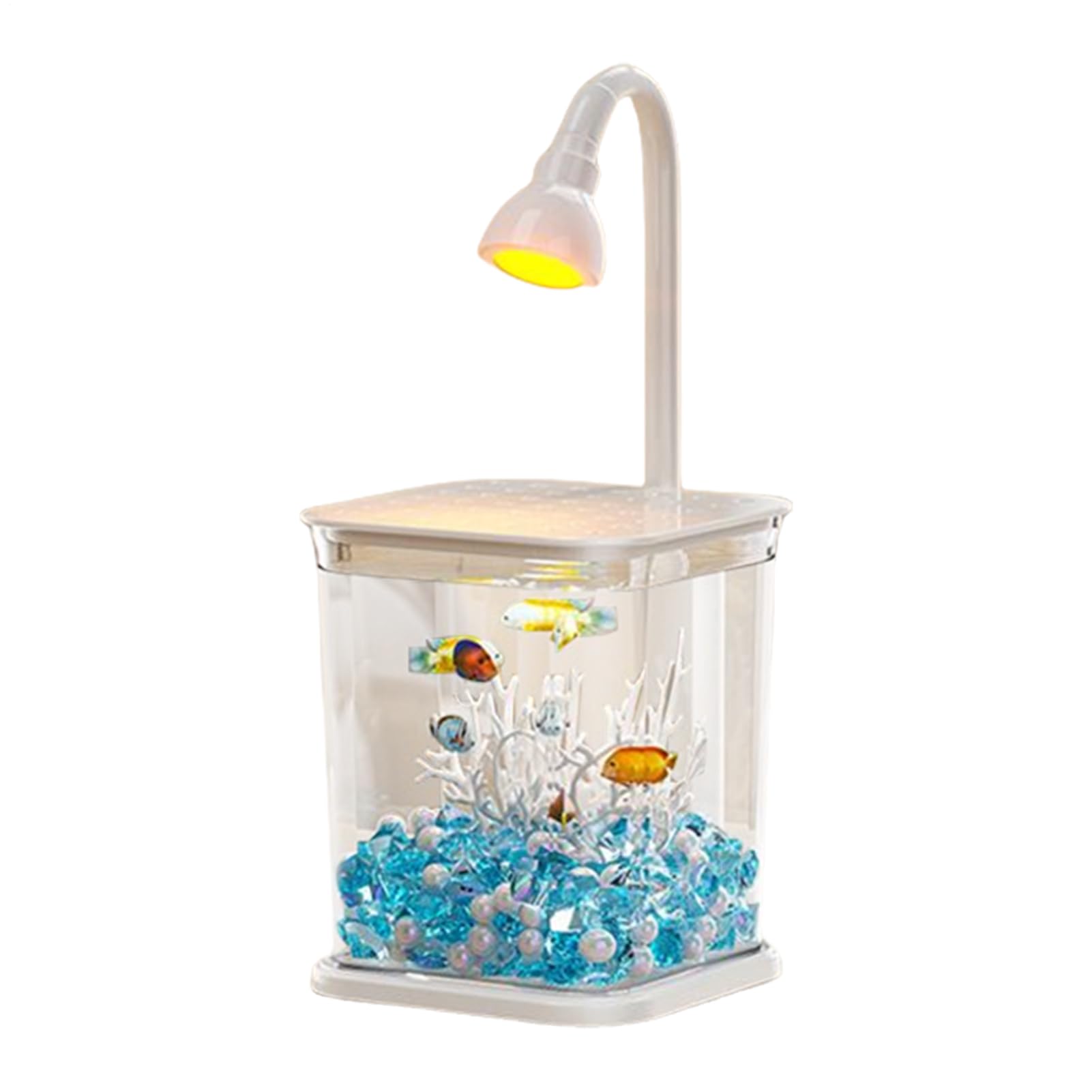 Aquarium pour poisson betta transparent complet pour régler le manque de place avec style