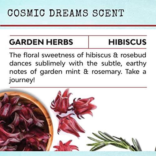Malicious Women Candle Co - She Believed She Could. But Was Really Tired. So She Didn't, Vanilla Cupcake Infused With Naps & Snacks, All-Natural Soy Candle, 9 Oz #TOP3