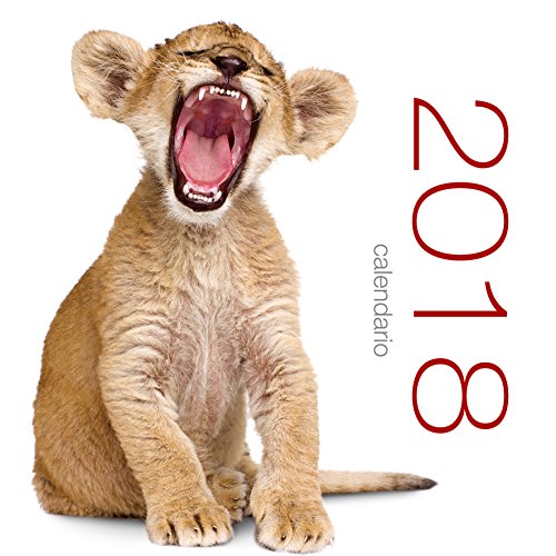 Télécharger Cuccioli di animali. Calendario da muro 2018 livre En ligne