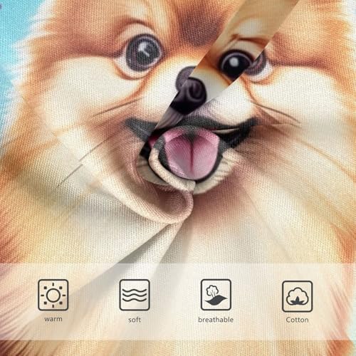 Girls Underwear Toddler 2t Cotton Girl Panties Cute Cartoon Undies Kids Briefs Cute Pomeranian Dog Colorful Flowers3