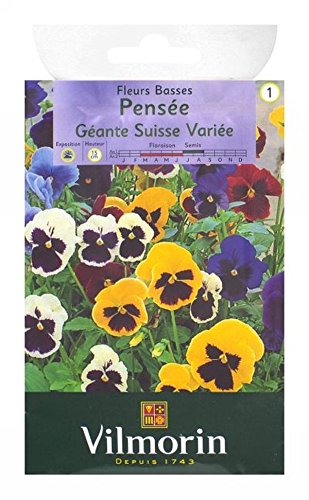 Vilmorin Jardin - Pensee Geante Suisse Varie Serie 1