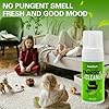 Upholstery Dry Cleaning Foam – No-Rinse Fabric Cleaner for Sofas, Couches & Car Seats, Quickly Lifts Stains & Dirt, Safe for Households with Kids & Pets, Easy-to-Use for Fresh & Spotless Furniture