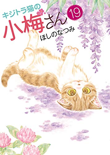 キジトラ猫の小梅さん 19 ねこぱんちコミックス ほしのなつみ マンガ Kindleストア Amazon