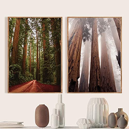 Imágenes de la naturaleza y pintura en lienzo de bosque de secuoyas decorativas para dormitorio
