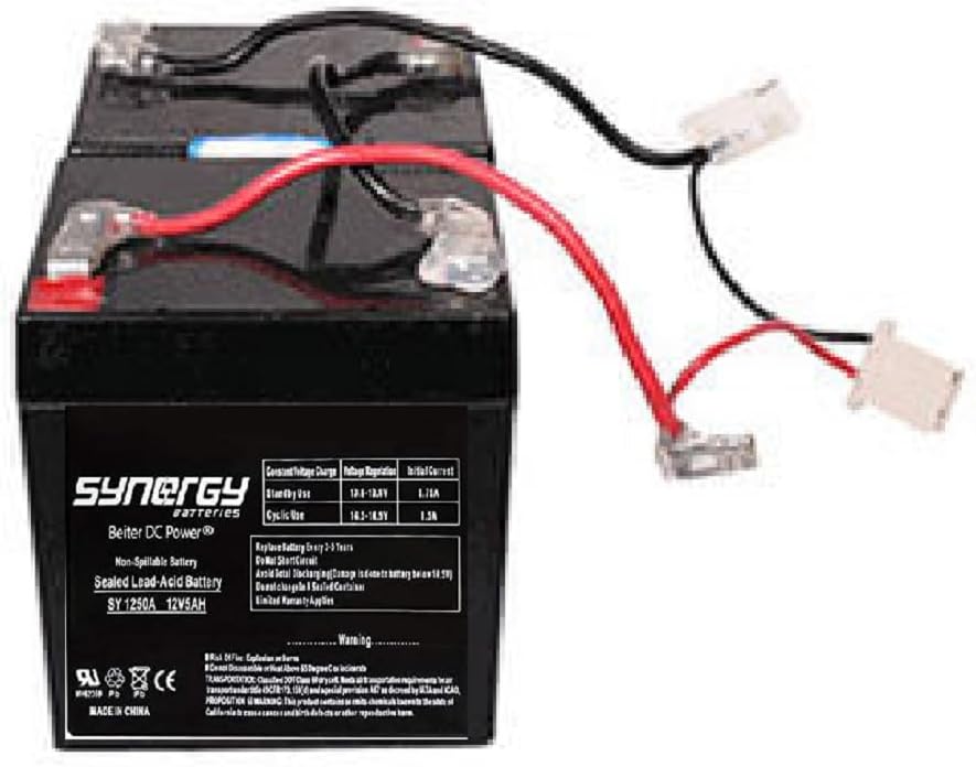 Beiter DC Power 24 Volt Battery Pack (5 Ah Version 16+) - Compatible Razor E100, E100 Glow, E125 Set of 12V Batteries, Electric Power Dirt Scooter e-Bike, Scooters, Rechargeable SLA AGM (Versions16+)