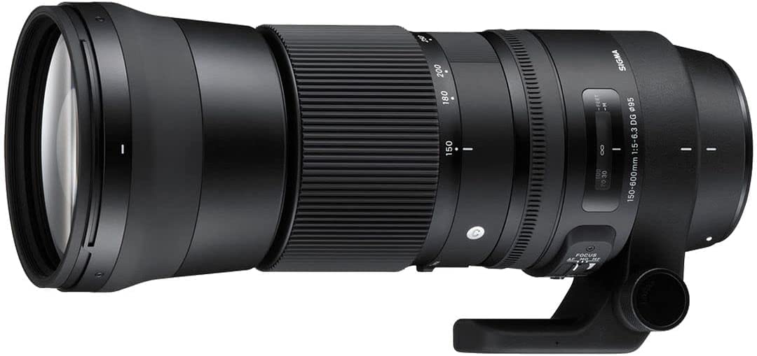 SIGMA 150-600mm F5-6.3 DGニコン用 レンズ保護フィルタ付 Amazon | Sigma 150-600mm 5-6.3 コンテンポラリー DG OS HSM レンズ