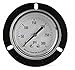 Panel Gauge, Front Flange, 2 1/2In, 300psi