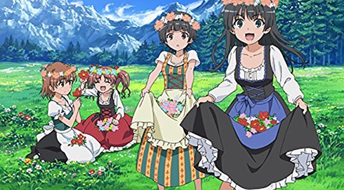 Amazon.co.jp: とある魔術と科学の謎解目録 特典アイテム付き