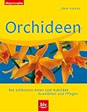 Orchideen: Die schönsten Arten und Hybriden. Auswählen und Pflegen (blv garten plus) - Jörn Pinske 