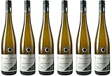 6x 2022 Maikammer Heiligenberg Grauer Burgunder trocken - Weingut Bruno Schreieck