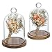 MyGift Mini Clear Glass Bell Display Cloches with Premium Acacia Solid Wood Base, Decorative Dome Cover Stands for Small Heirloom Jewelry Curios Keepsakes, Set of 2