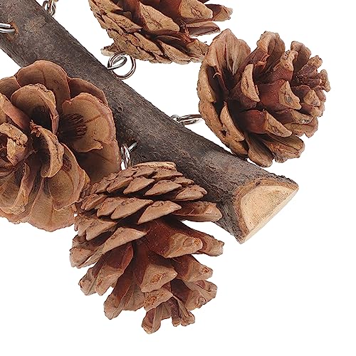 POPETPOP Pine Cone Parrot Toy Bird Chewing Toy Natural Pine Cones Hanging Foraging Toys Parrot Tearing Toys for Parakeet Cockatiel Conure African Grey Lovebirds Cockatoos - Image 4
